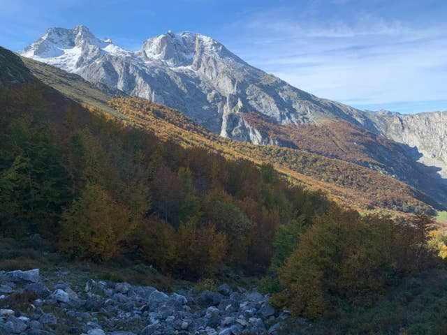 Cumbres De Los Picos Apartamento La Yedra Poo  Εξωτερικό φωτογραφία
